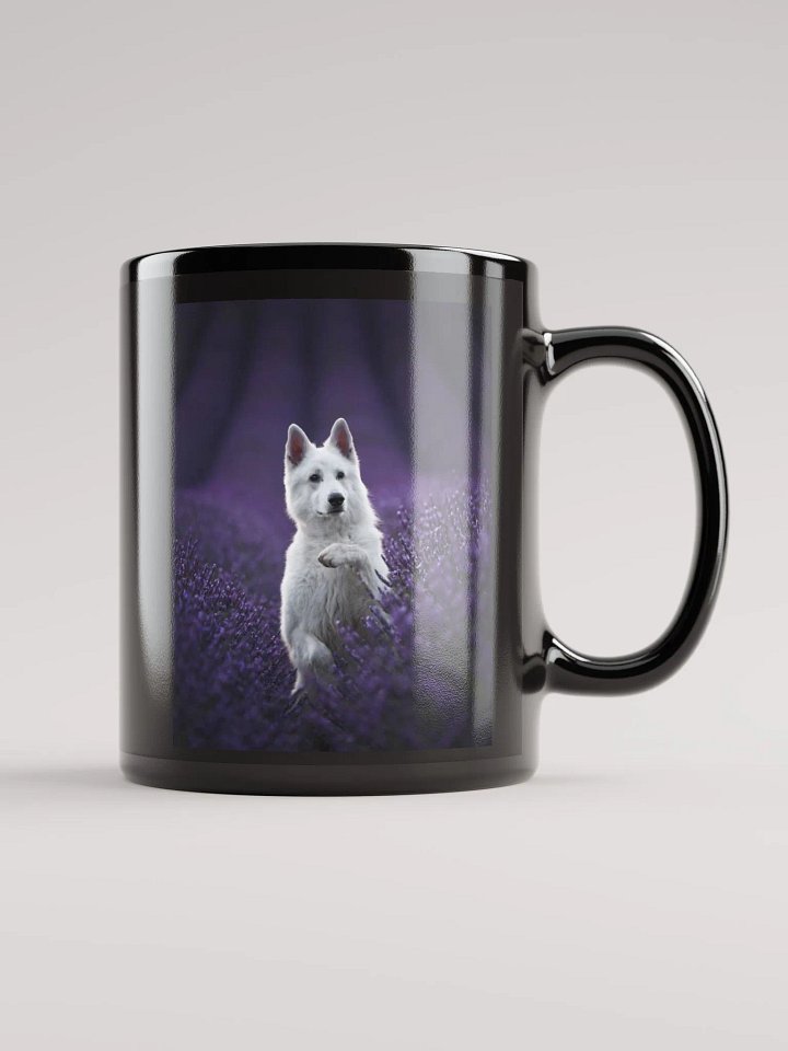 Rasta in the lavender fields in Valensole product image (2)