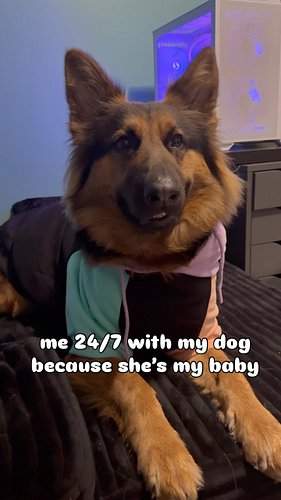 hi hi, look at this CUTE sweater. @sparkpawsofficial spoiled us rotten! Use code for 15% off:  COURTNEYKY08934 

Direct link ...