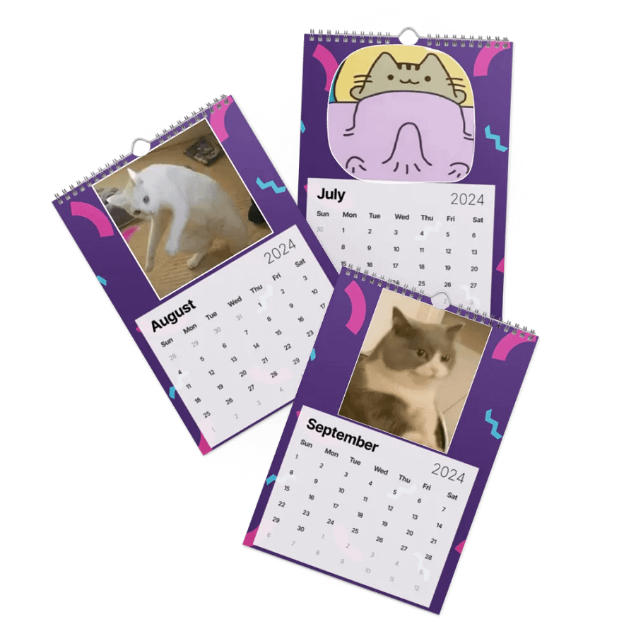 Wall Calendar (2024): Meme Cats product image (10)