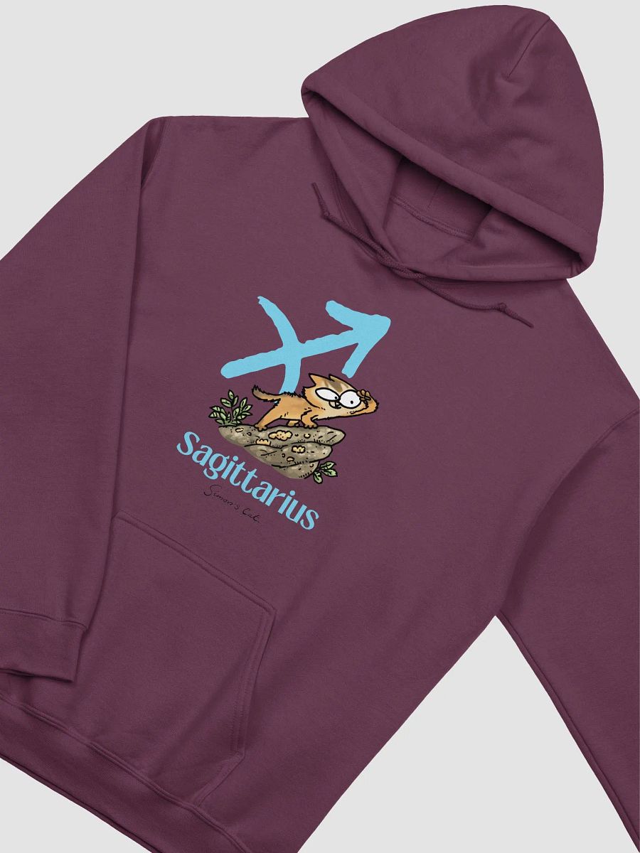 Sagittarius Kitten Hoodie product image (34)