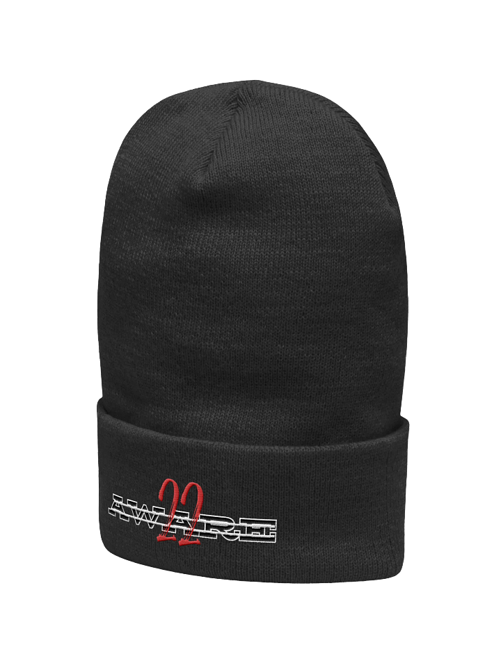 22AWARE BEENIE product image (5)