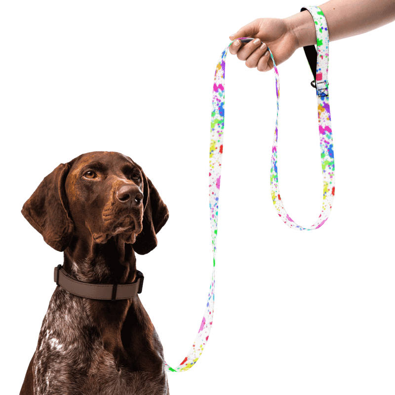 PRIDE Rainbow Splatter Pet Leash product image (3)