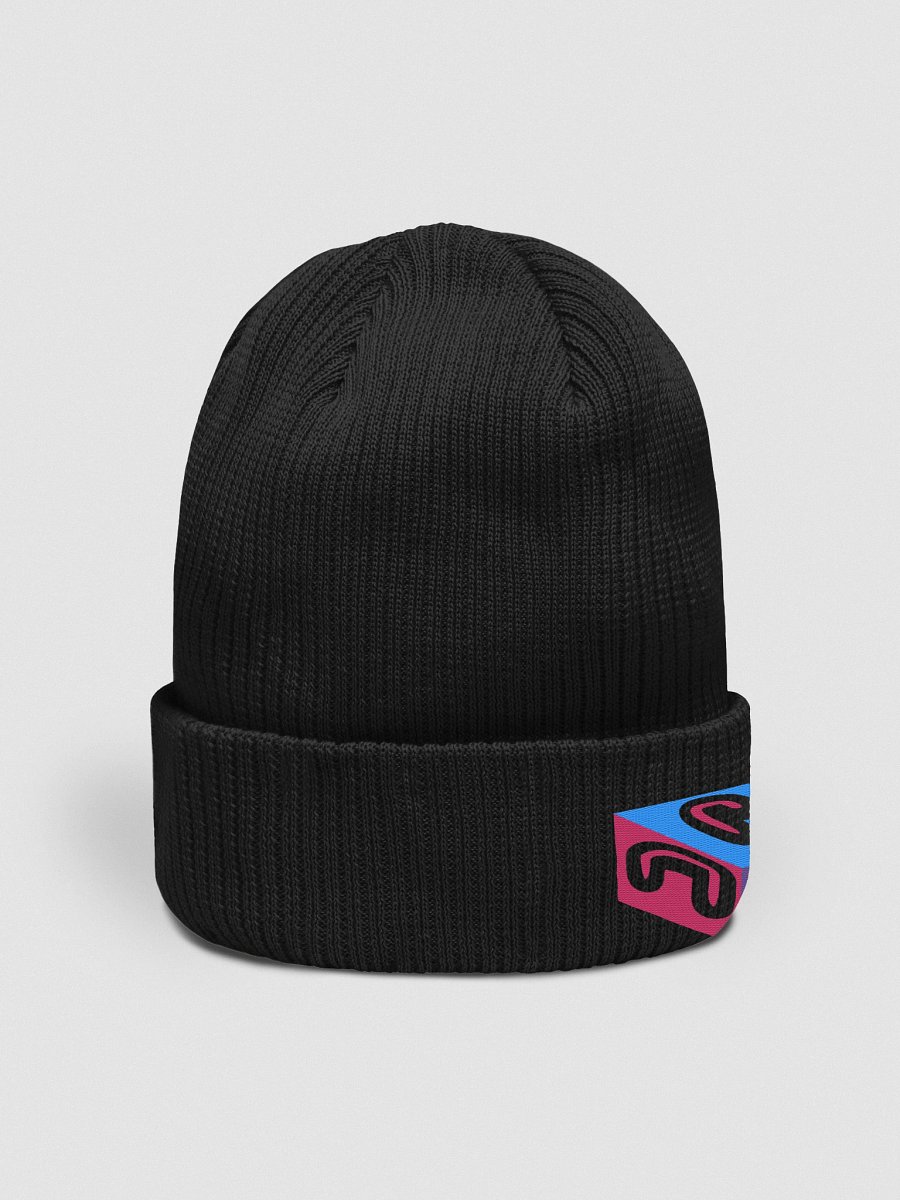 Next Generation Records Cube Logo Organic Ribbed Beanie product image (3)