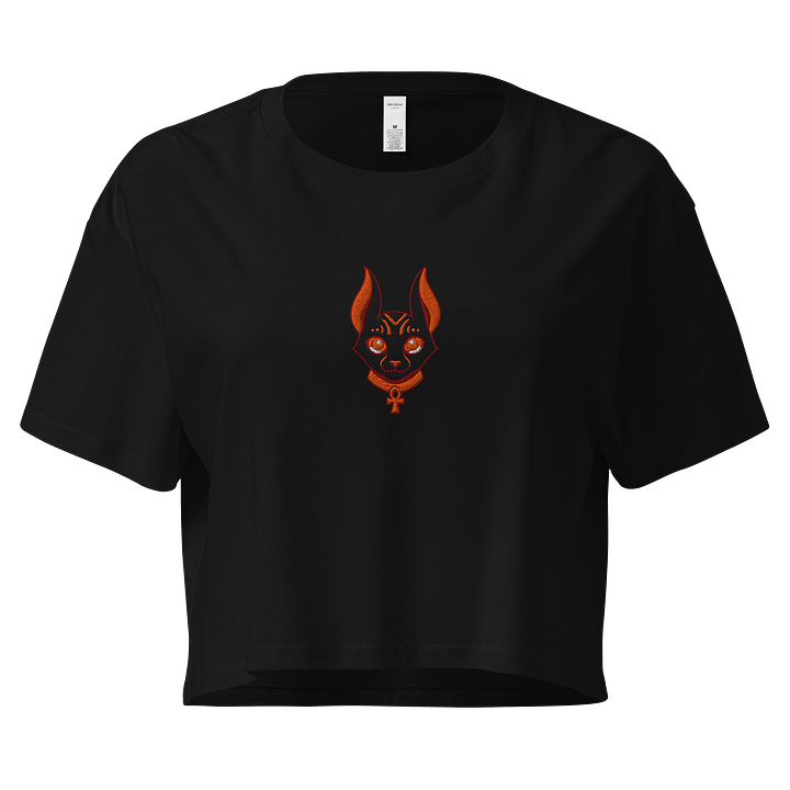 Anubace Halloween Embroidered Crop Top product image (1)