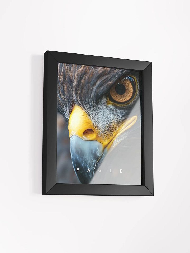 Eagle's Eye Matte Poster product image (18)