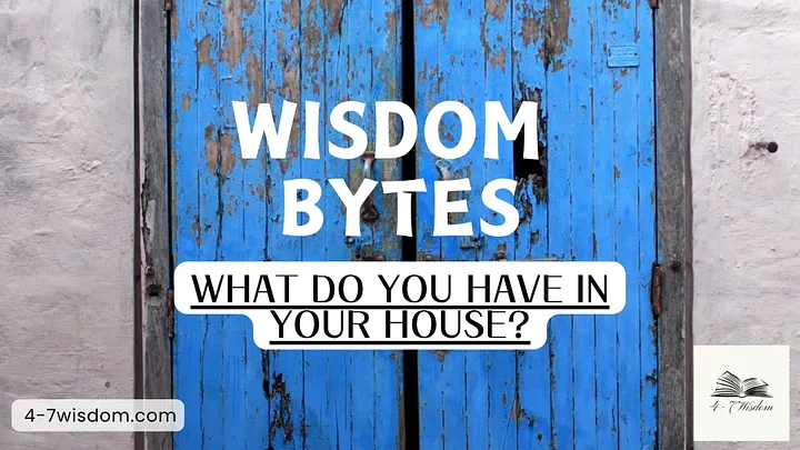 Wisdom Bytes: What do you have in your house? product image (1)