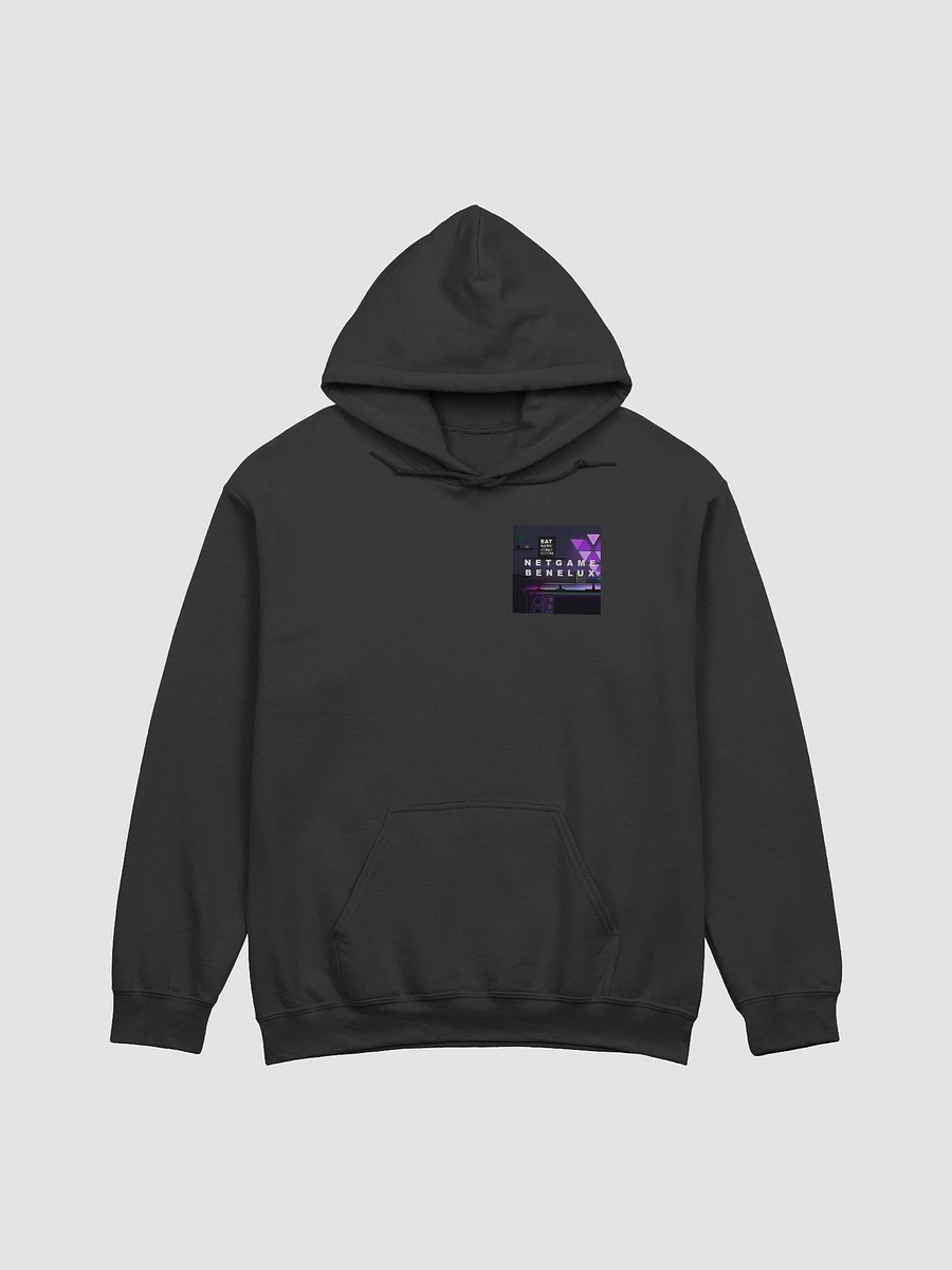 Netgame Hoodie product image (1)