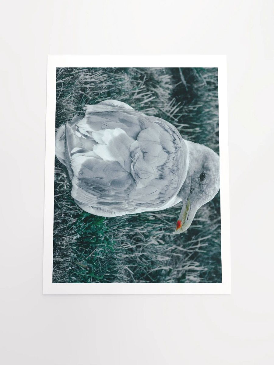 Seagull (my best buddy) product image (4)