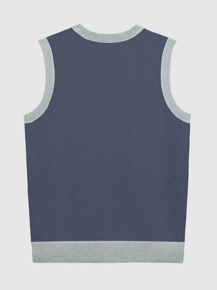 BUSY-BRAINED (lg. design, navy and powder blue) knitwear vest product image (9)