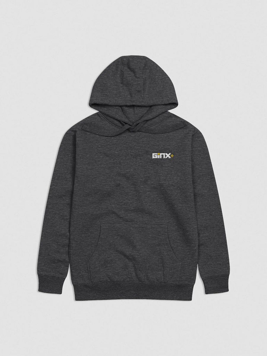 GINX+ Hoodie (Embroidered Logo) product image (11)