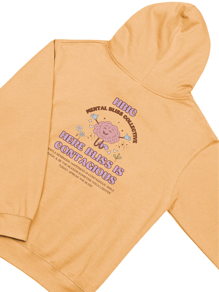 Blissful Mind Hoodie product image (27)