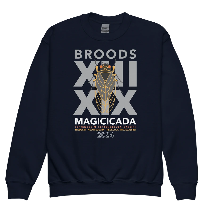 Broods XIII & XIX Sweatshirt (Youth) Image 1