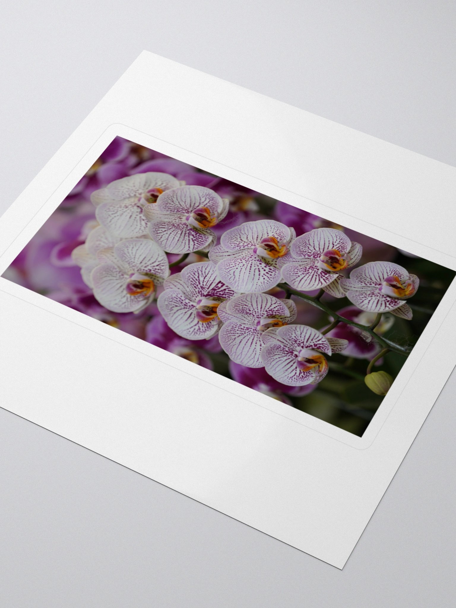 Orchid Dreams Kiss Cut Stickers product image (3)