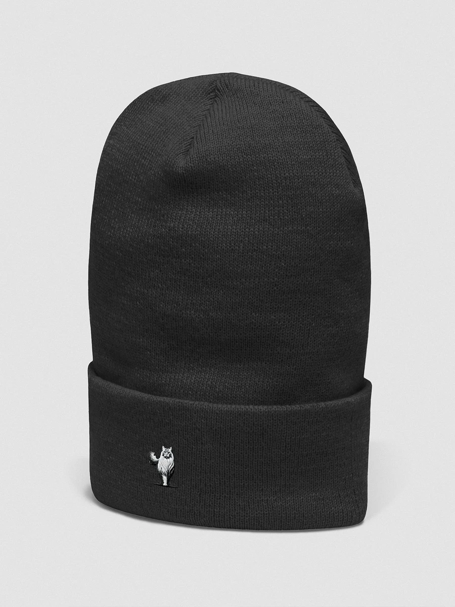 Yupoong Cuffed Beanie: Siberian product image (3)