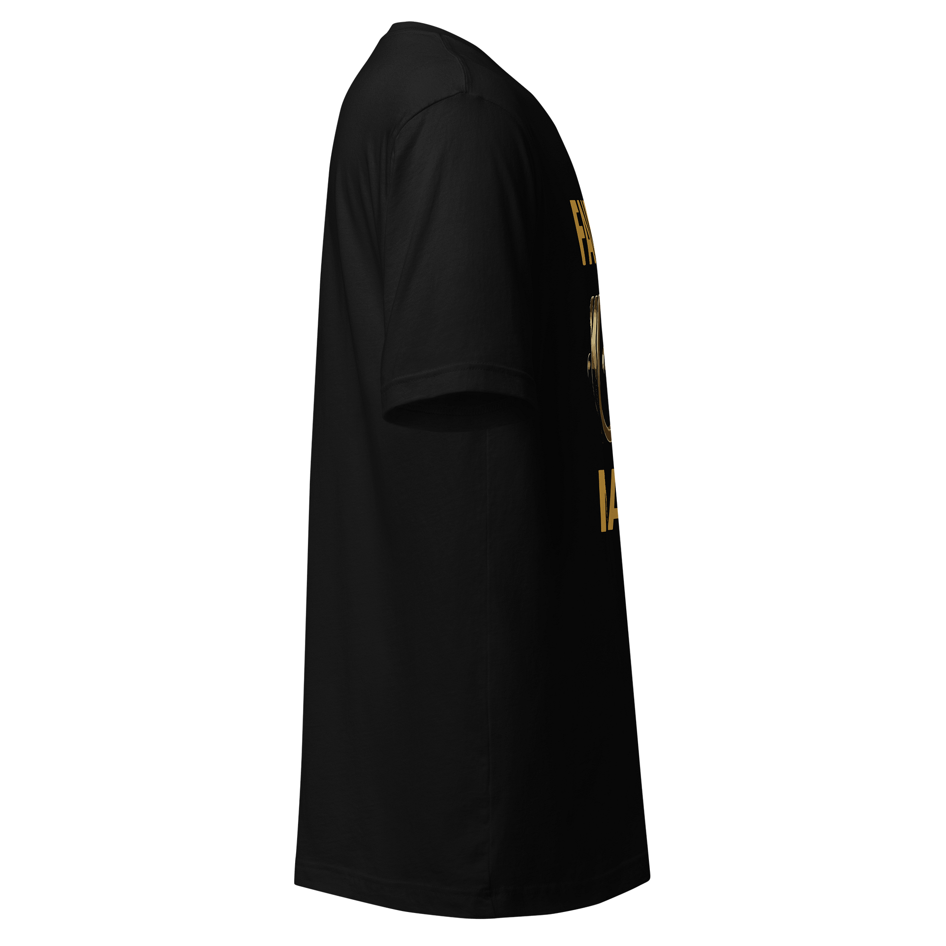 Gold Standard Failure T-Shirt product image (14)