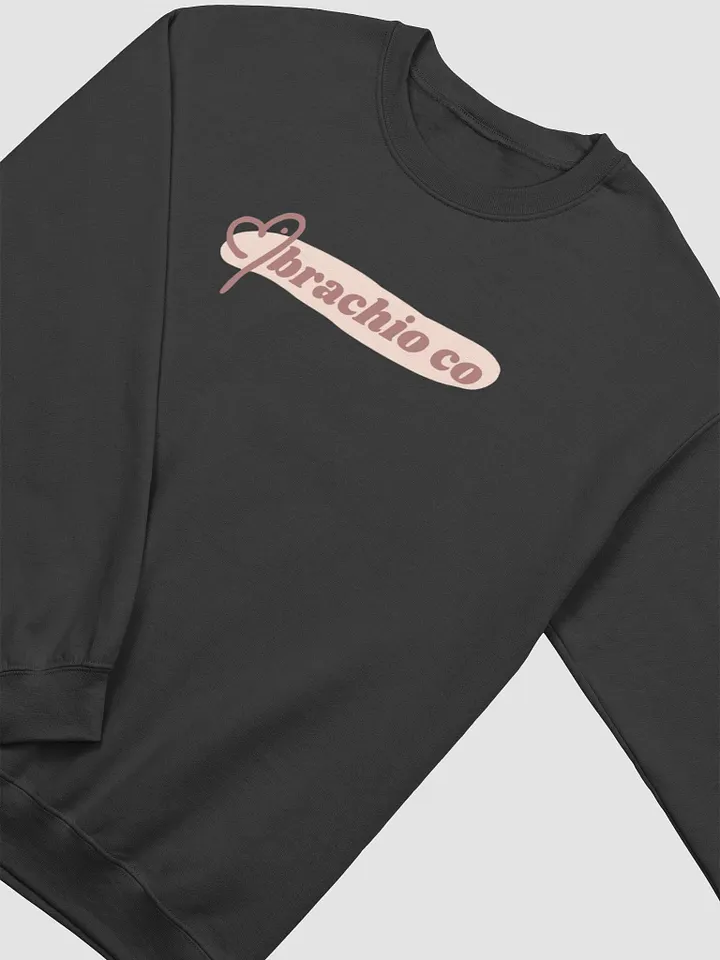 Extended Logo Sweatshirt product image (2)
