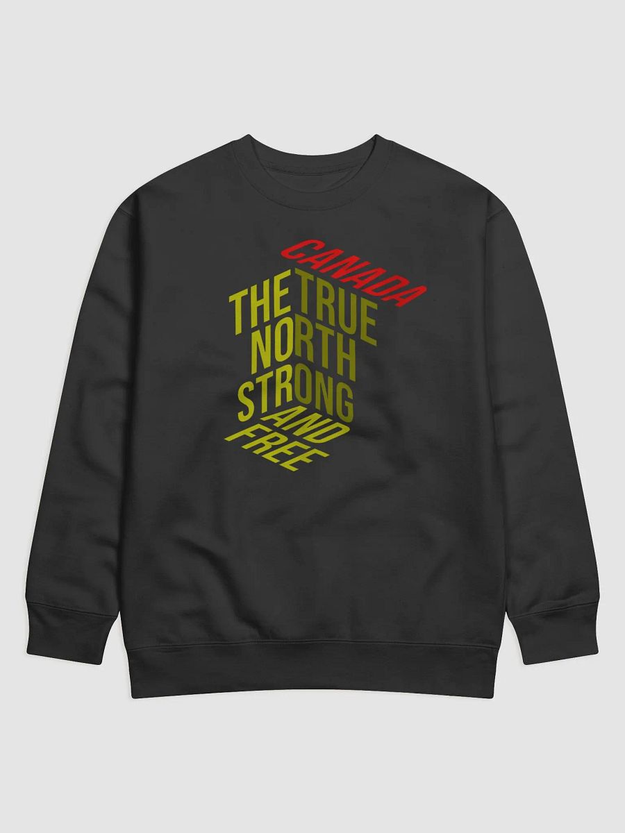 True North 3D Sweatshirt product image (2)