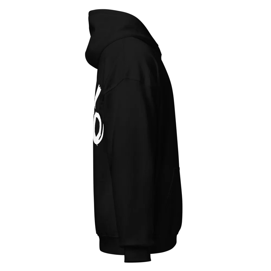 Hoodie Black Large Backprint product image (5)