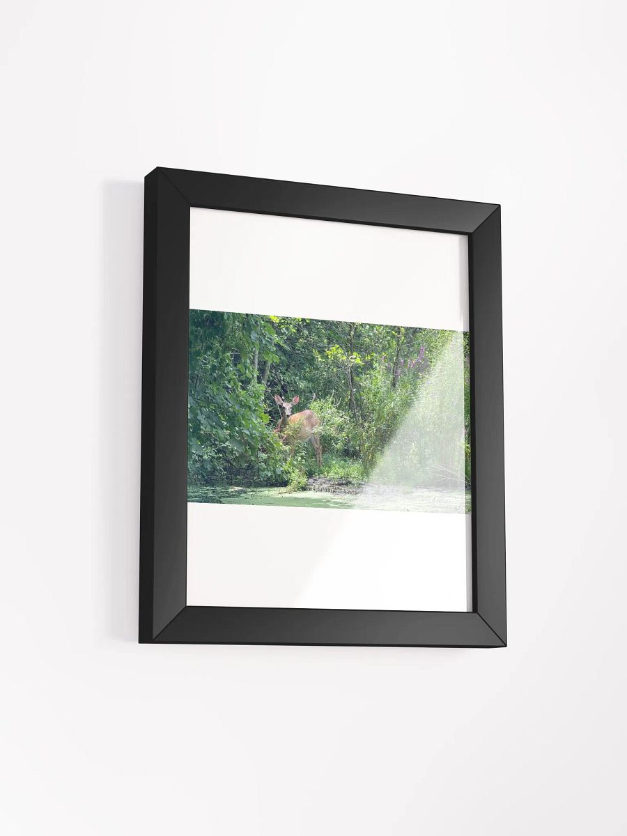Deer In The Wild print product image (15)
