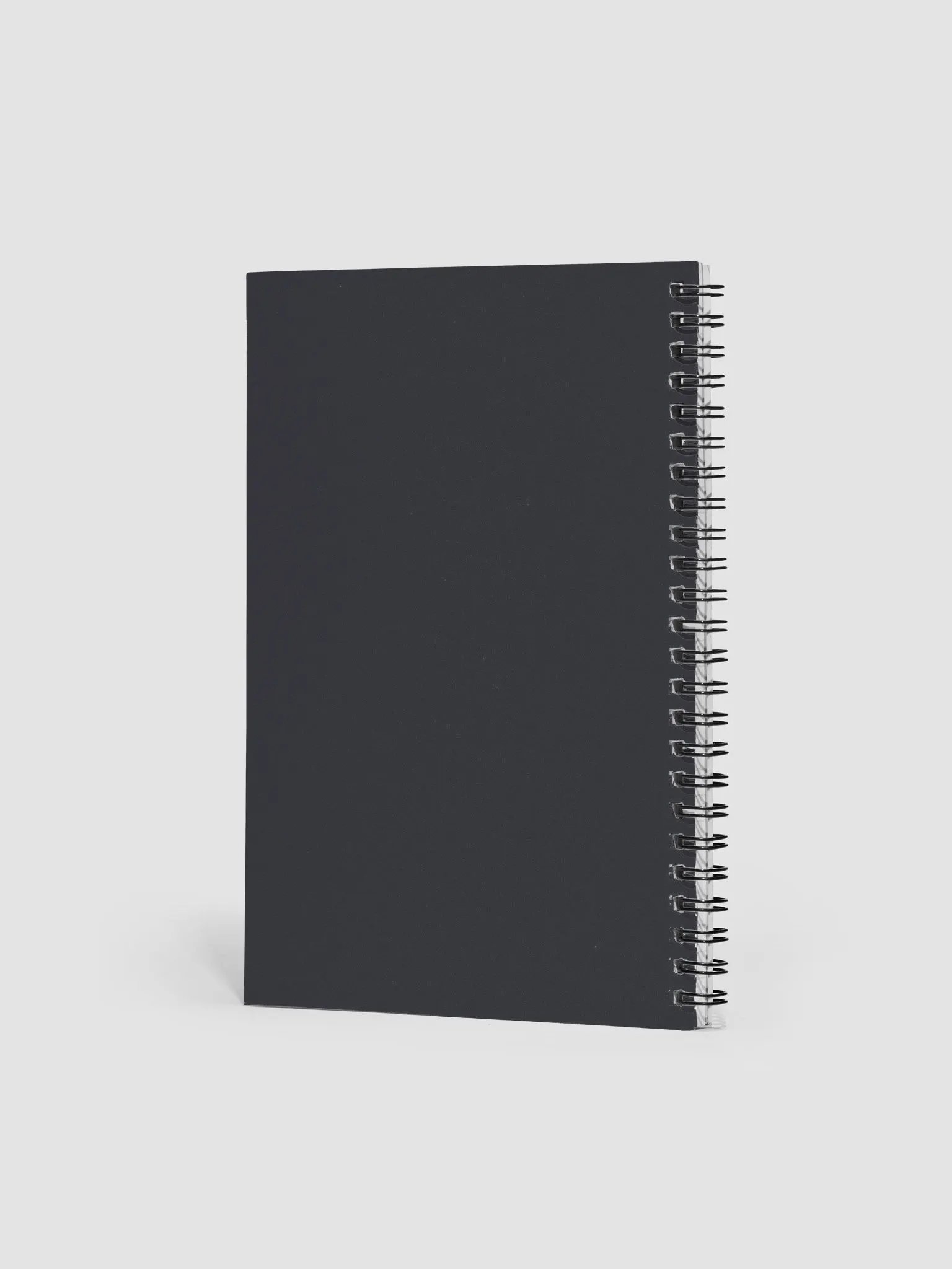 Try Science Notebook product image (2)