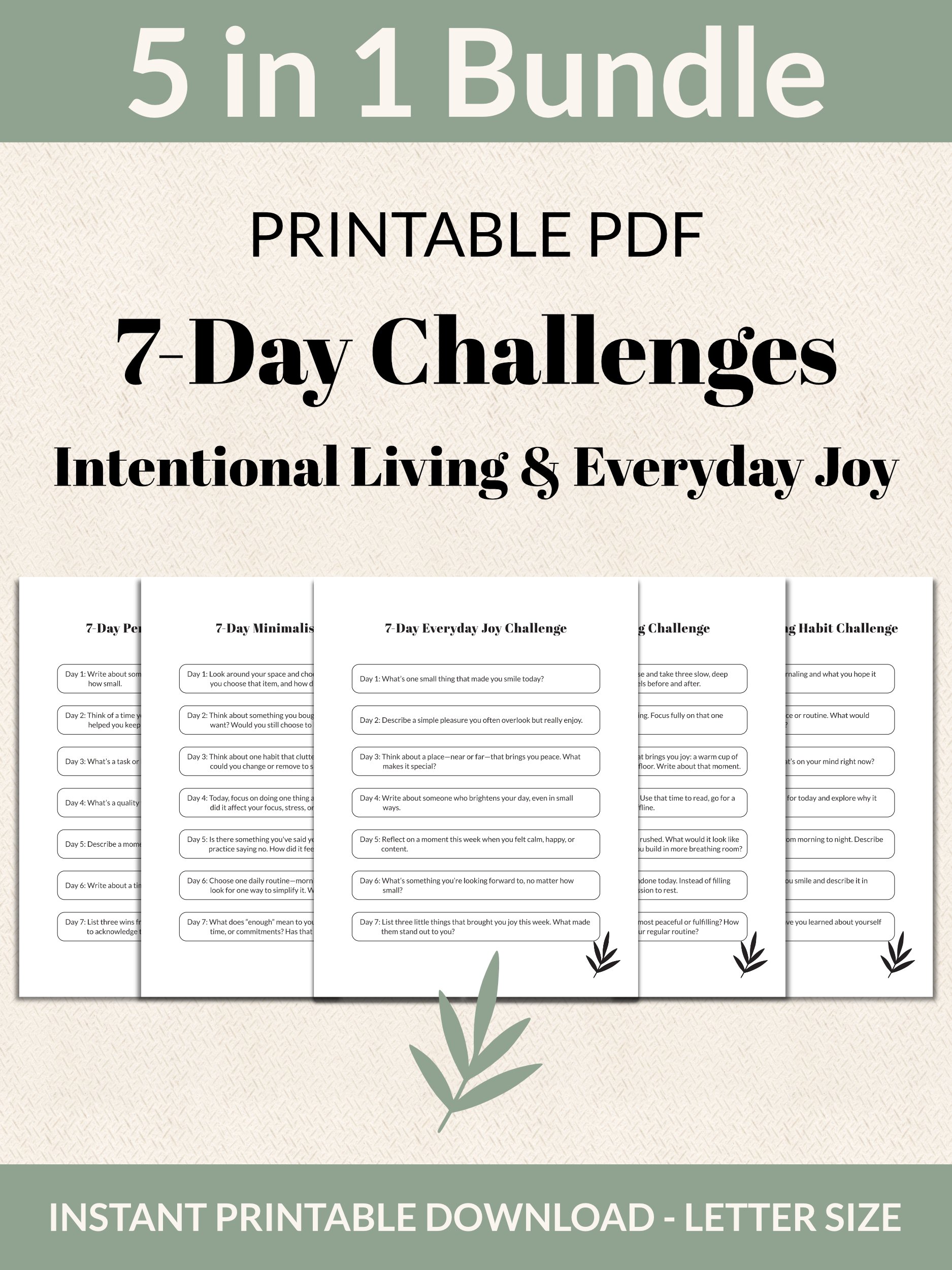 25 Printable 7-Day Challenges Mega Bundle product image (6)