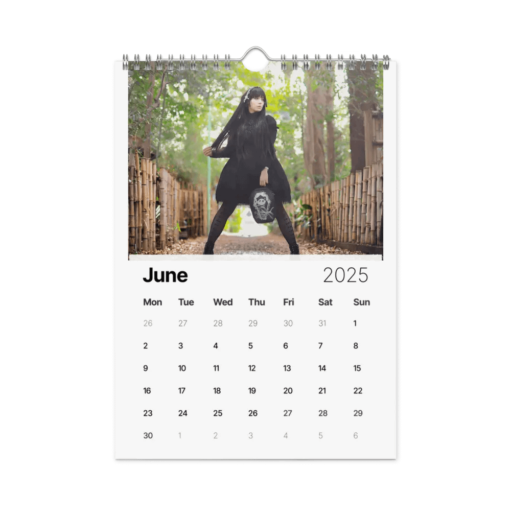 2025 CathyCat's Kawaii Japan Calendar product image (8)