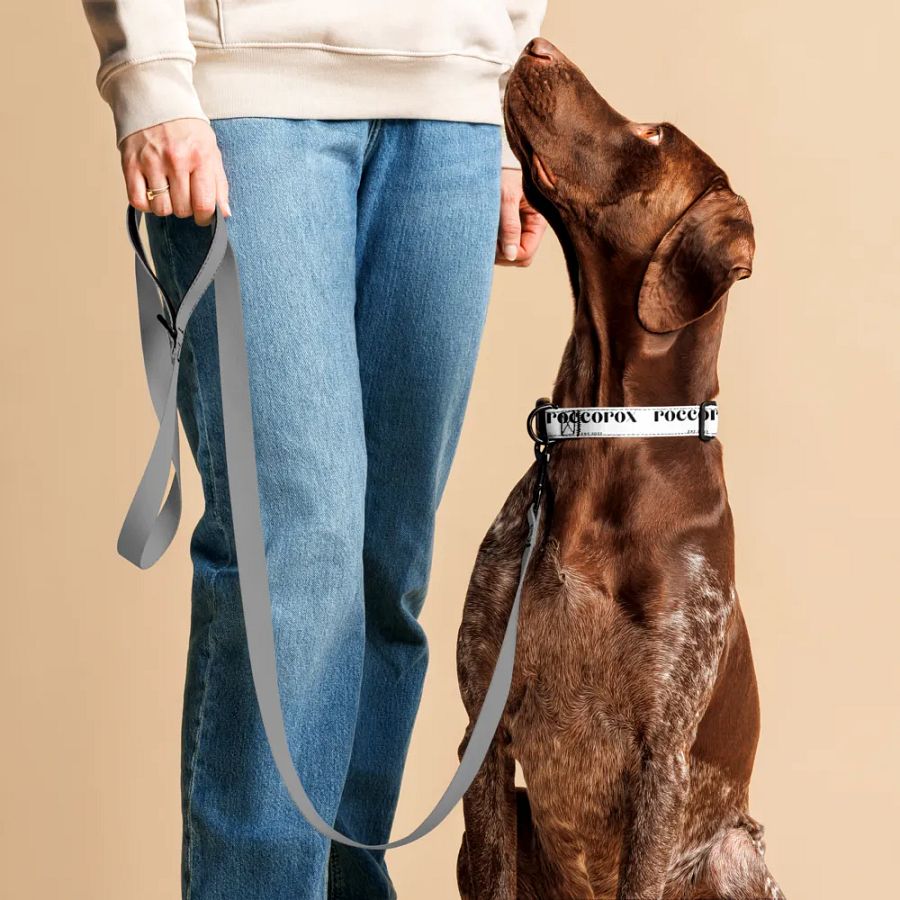 RoccoRox Dog Collar White Size Large product image (4)