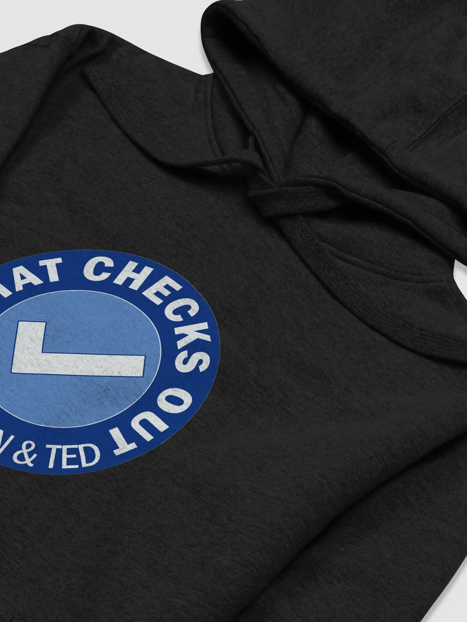 TCO Logo Hoodie product image (3)