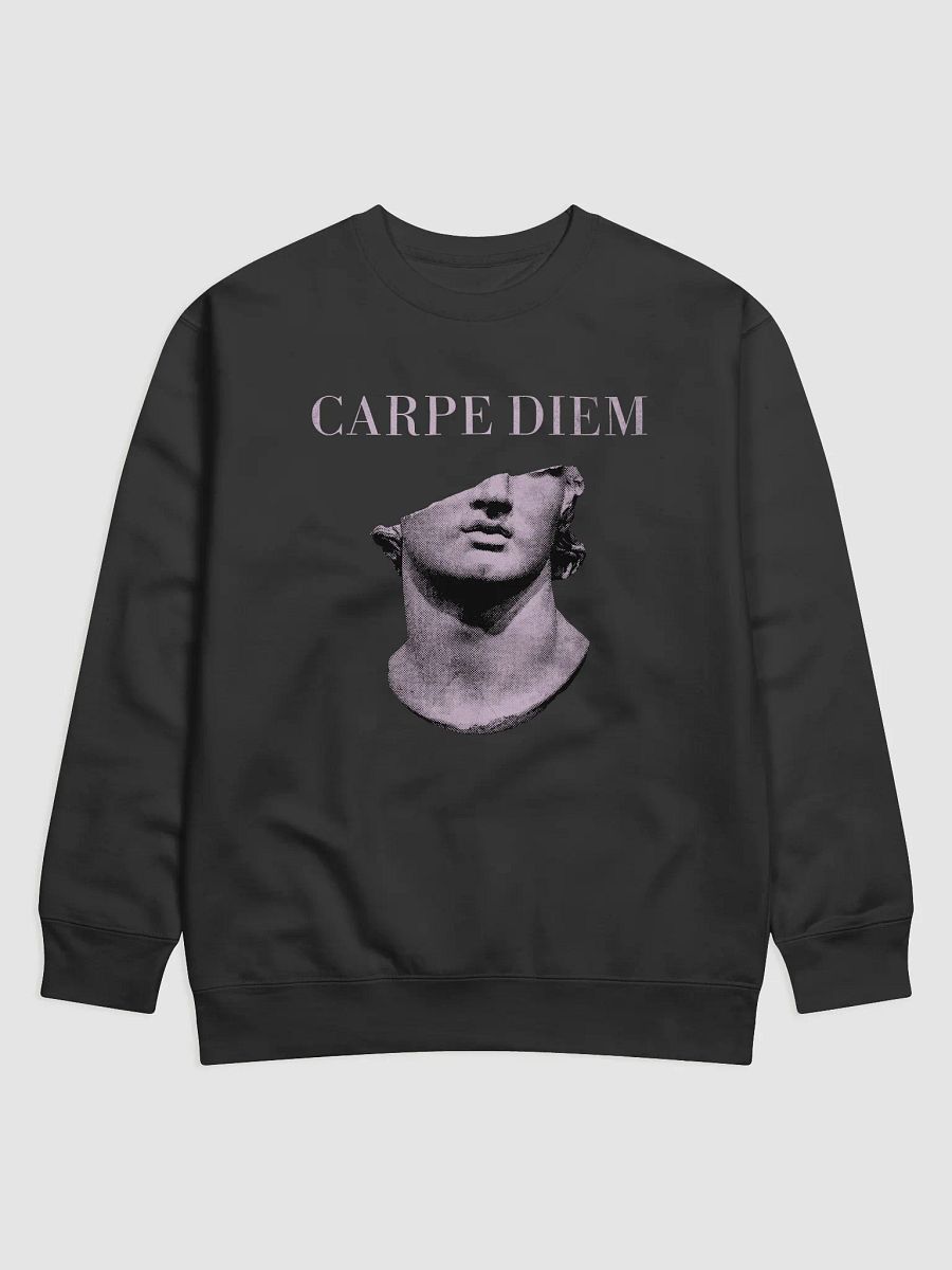 Carpe Diem Statue Sweatshirt product image (1)