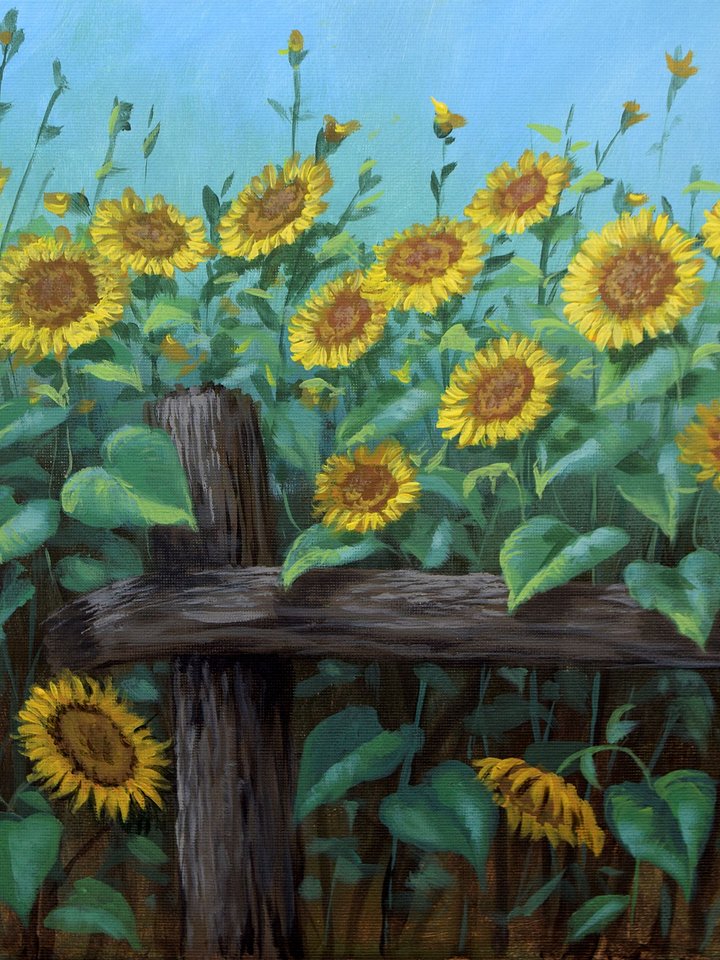 DOWNLOADABLE Acrylic Painting Tutorial - Sunflowers in the Fence product image (1)
