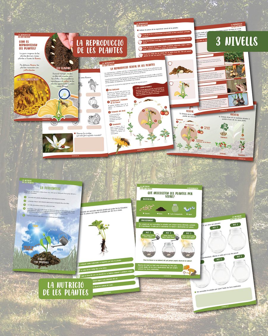Les plantes: multinivell product image (2)