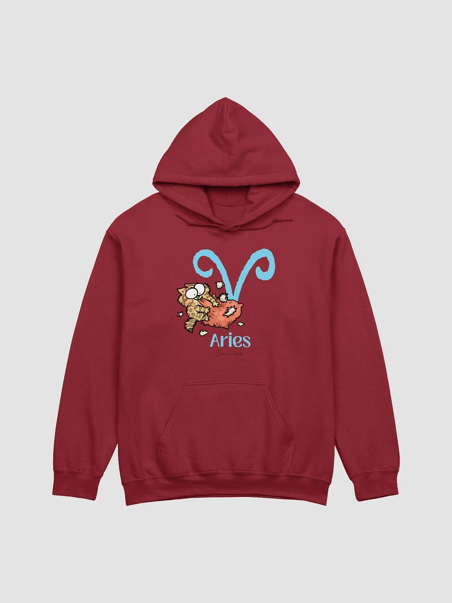 Aries Kitten Hoodie product image (7)
