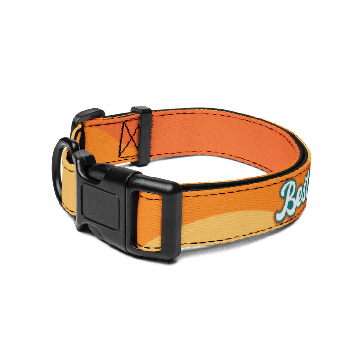 Besties Pet Collar product image (2)
