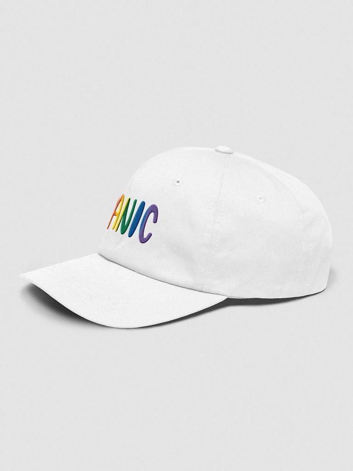 Gay Panic Dad Hat product image (2)