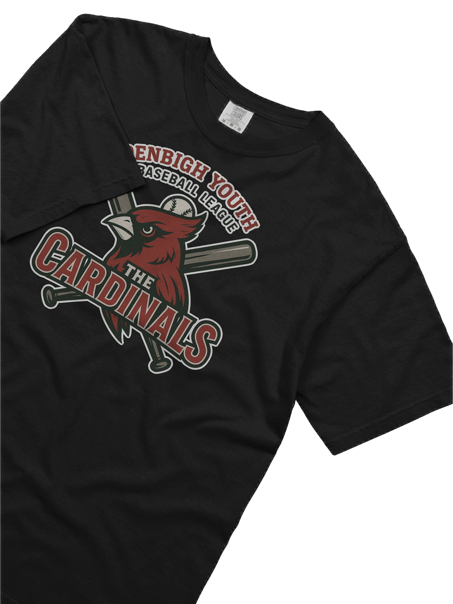 Cardinals - Heavyweight T-shirt product image (44)
