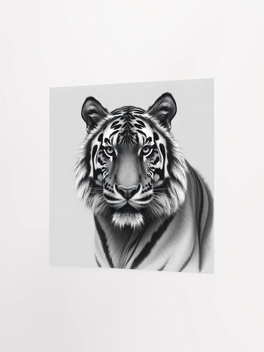 Tiger product image (10)