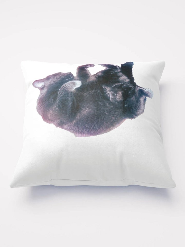 Ber Sleeping Pillow product image (1)