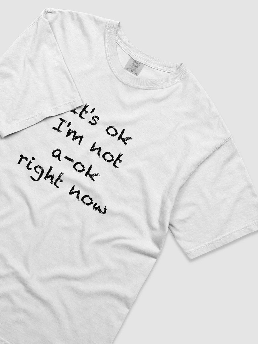 It's OK I'm Not A-OK Right Now product image (17)