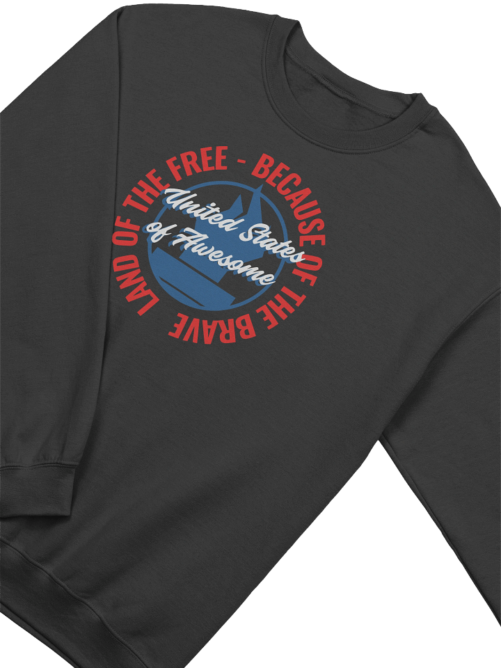 United States of Awesome Torch Sweatshirt product image (2)