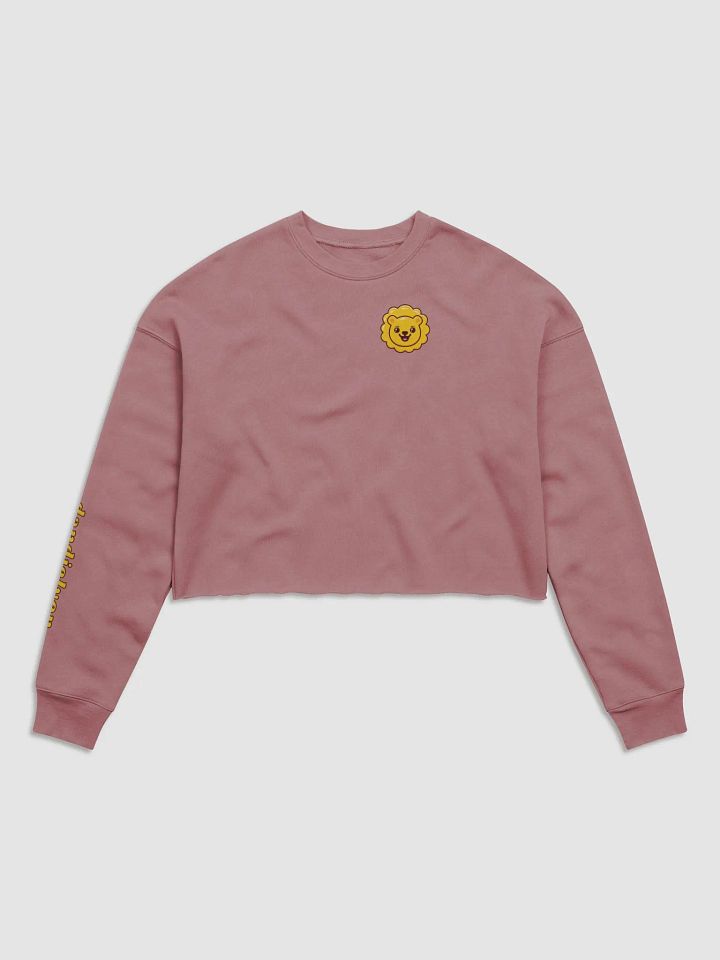 dandielyon cropped sweatshirt product image (5)