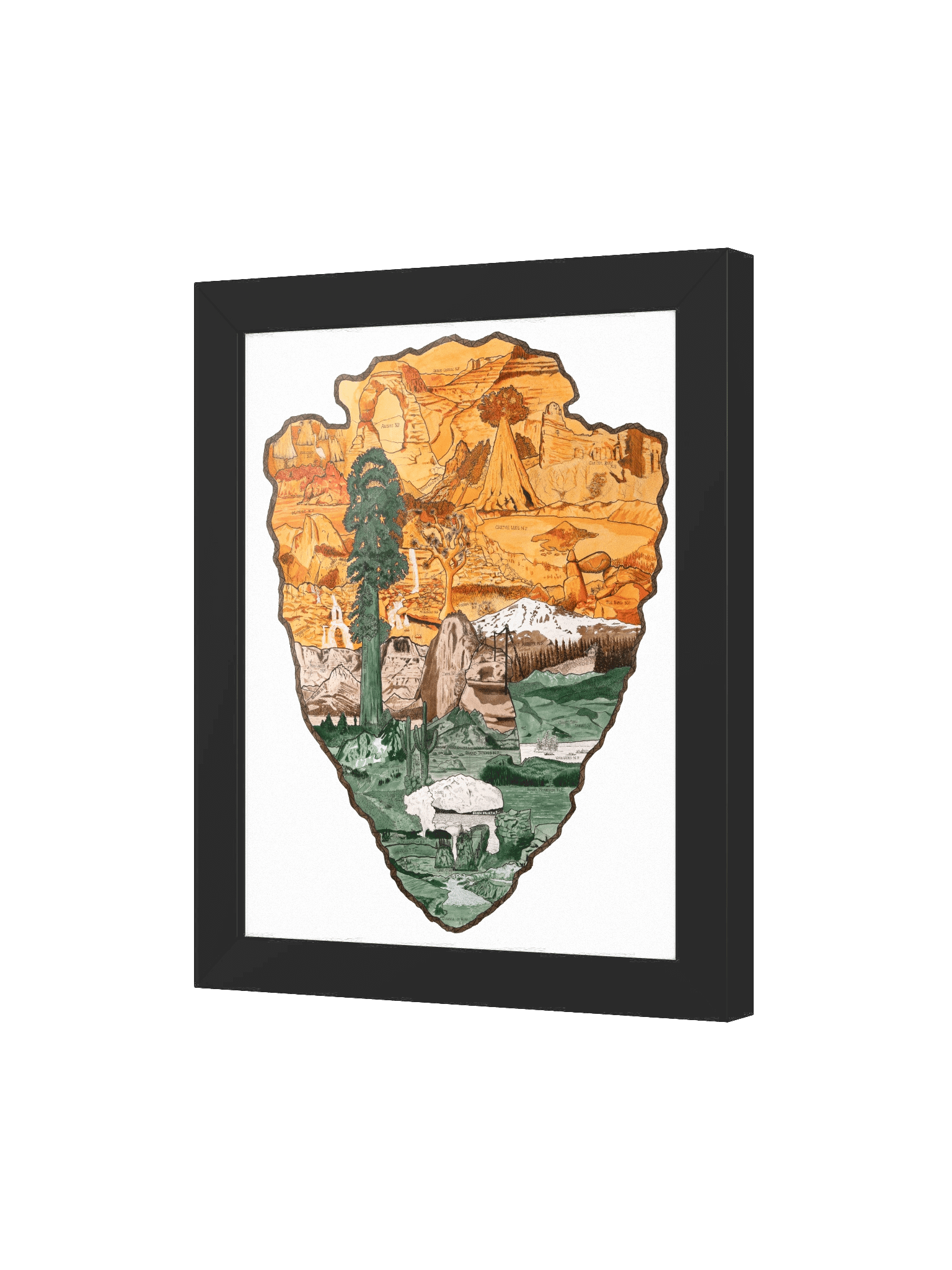 "One Wild Symphony" Framed Print product image (17)