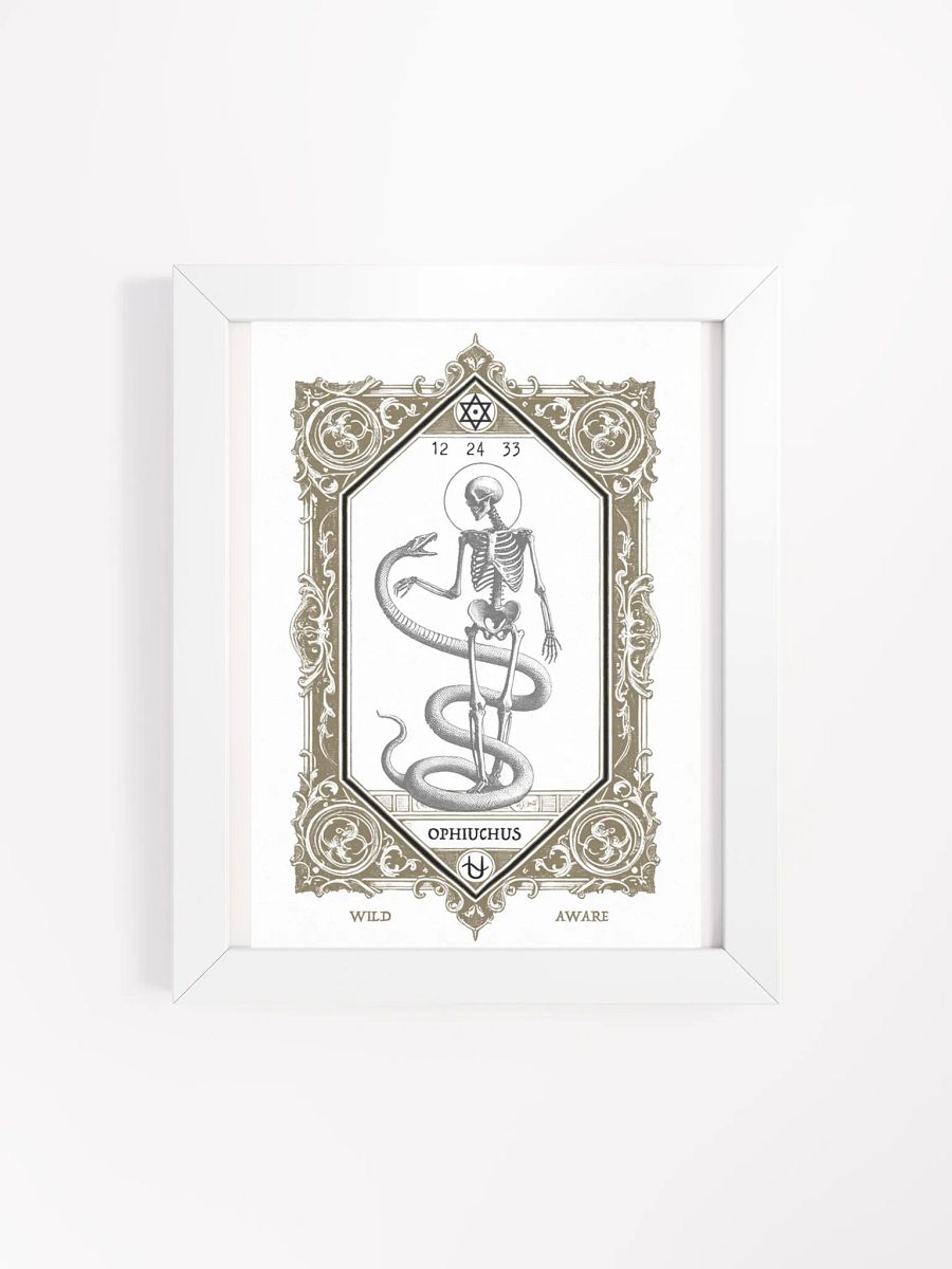 HERMETIC ZODIAC 8X10 Ophiuchus product image (1)
