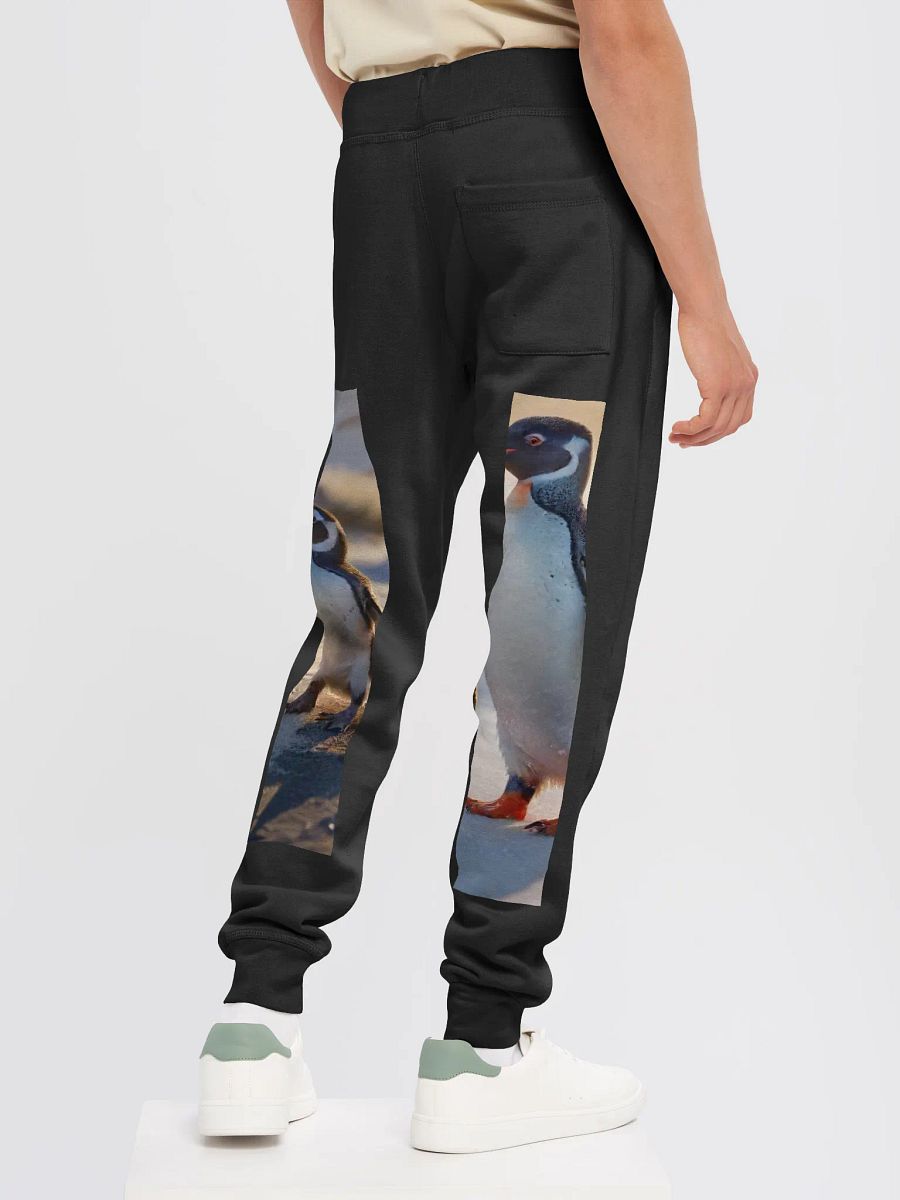 pantalon product image (24)