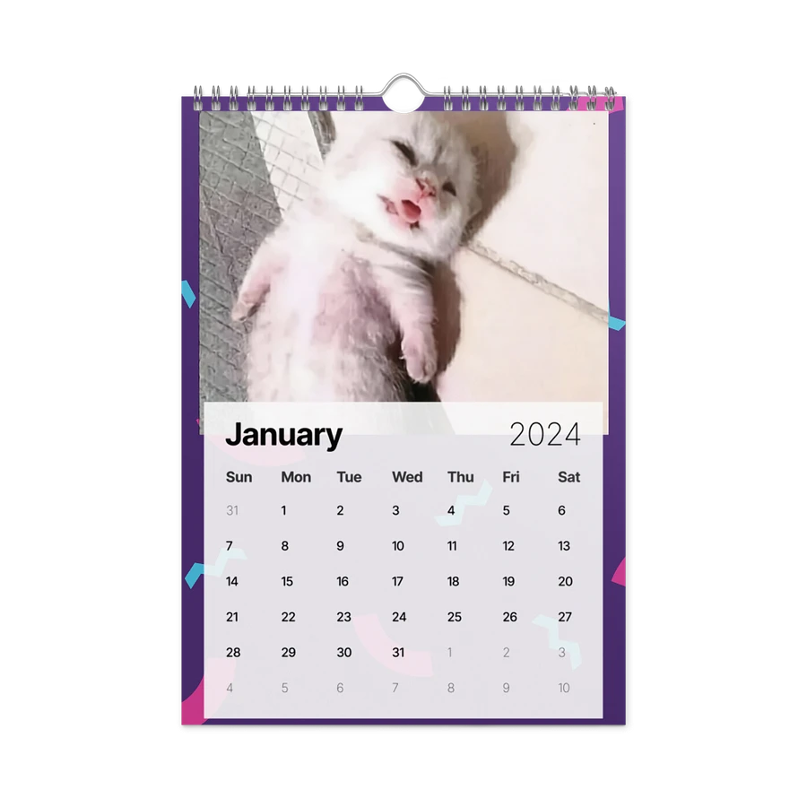 Wall Calendar (2024): Meme Cats product image (8)