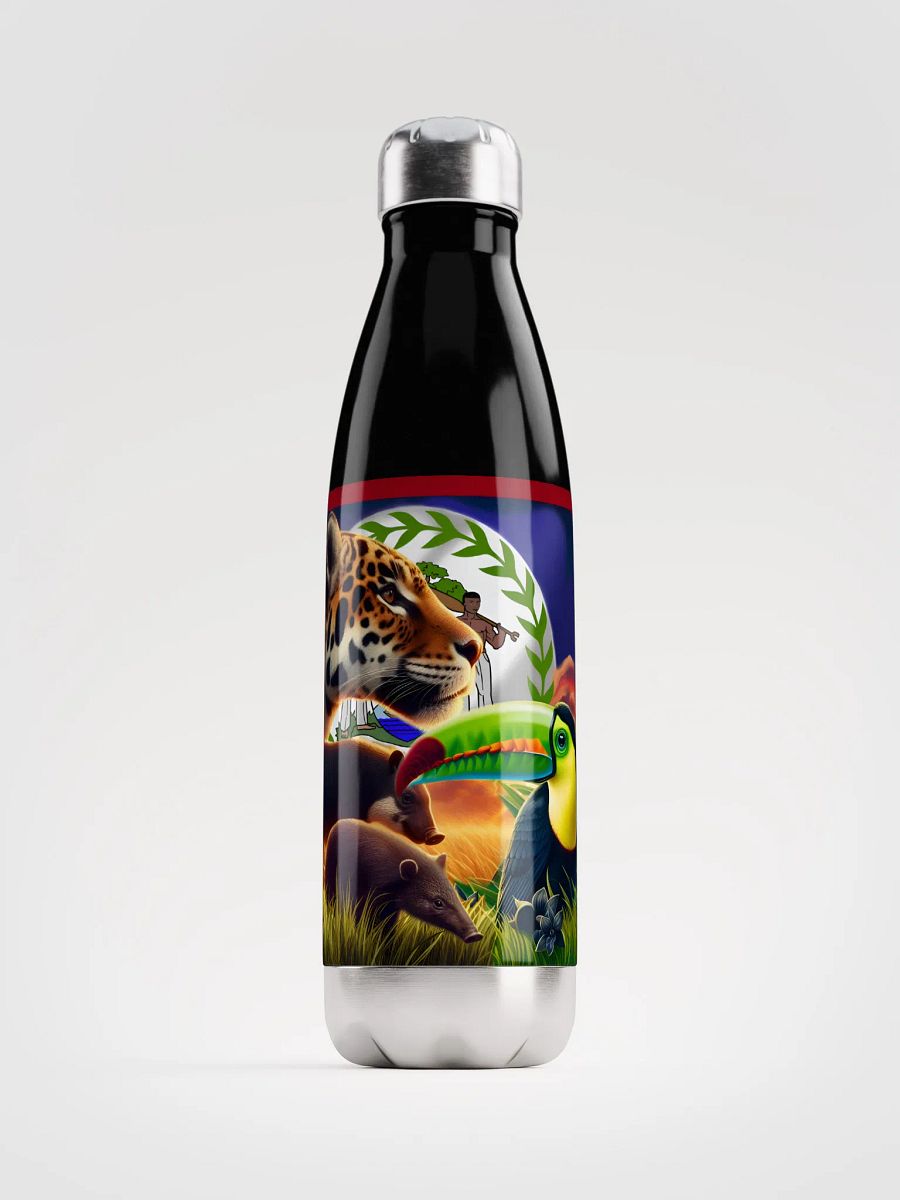 Beauty of Belize (Fun Edition) Water Bottle product image (1)