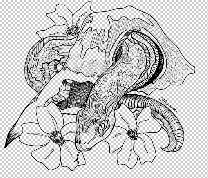 Snake and Bird Skull Digital Coloring Page product image (2)