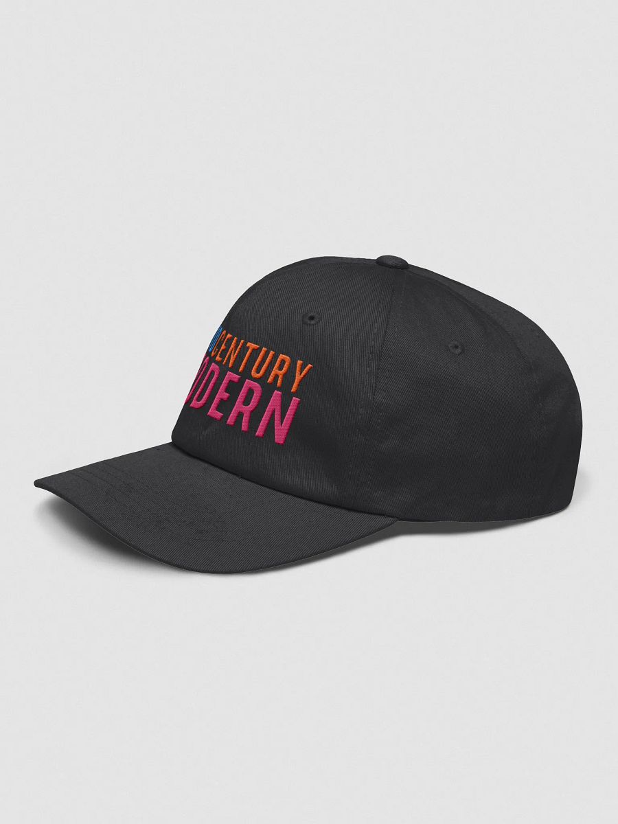 Midcentury Modern - Embroidered Hat product image (27)
