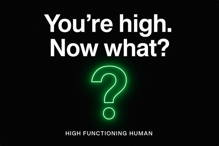 How to Get Sh*t Done When You’re High product image (1)