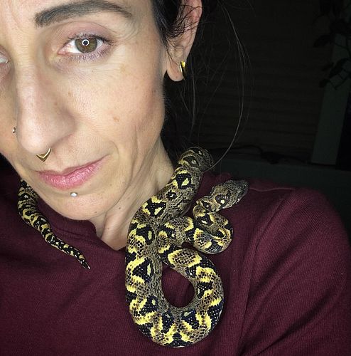 Me and my little bumblebee.🐝 🐍❤️
****
->Follow @snaketherapy_shiraloa and *SUBSCRIBE ON YOUTUBE* (@ Snake_Therapy) for more s...