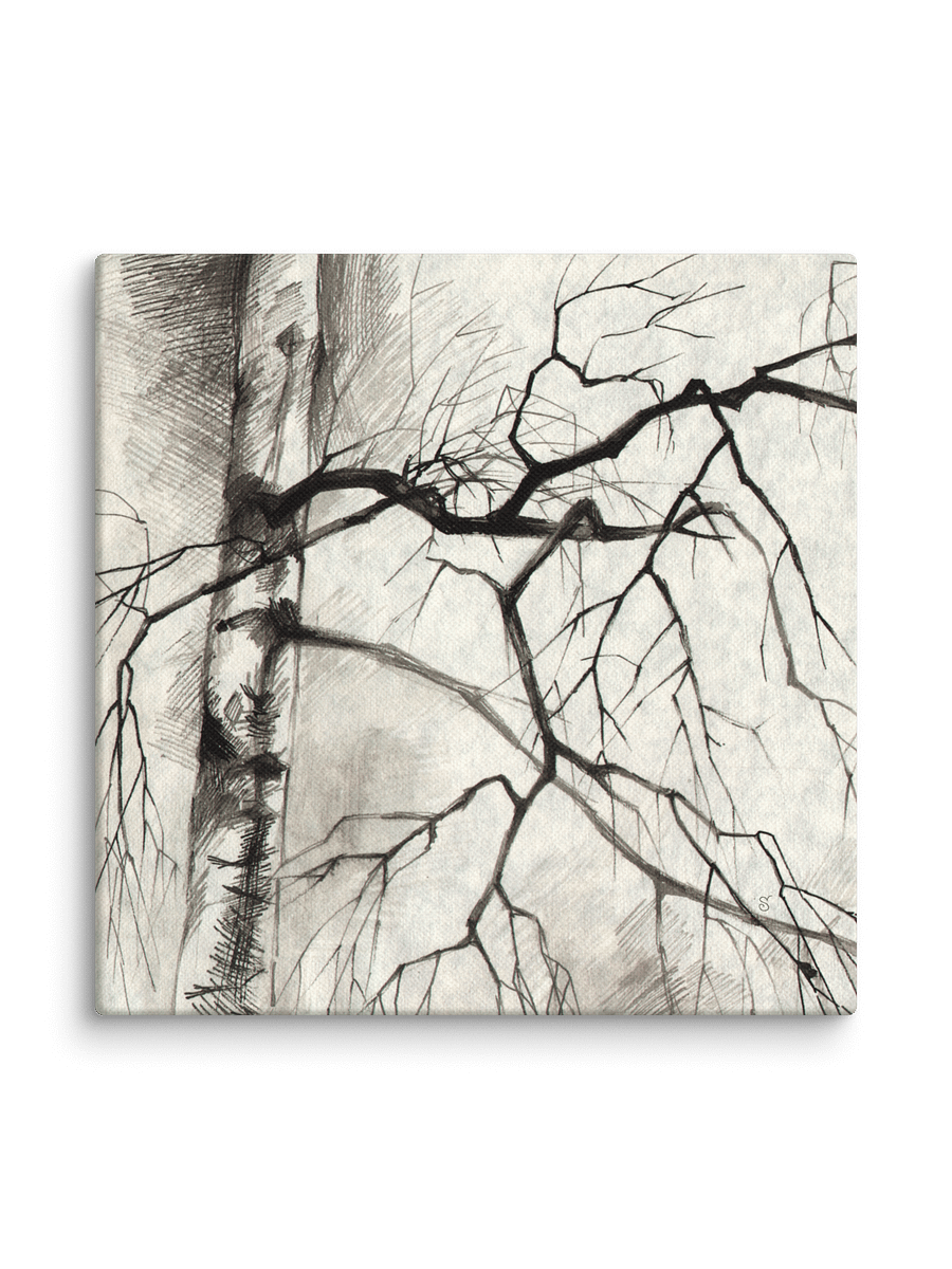 Birch Whispers Canvas - Birches product image (2)